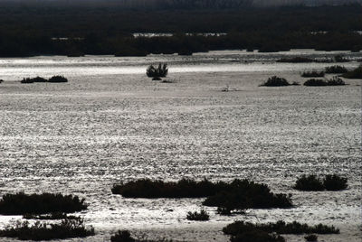 Boats in sea