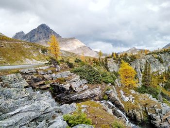 Autumn colors in the backcountry, waterfall, redoubt lake falls, skoki lodge  trails