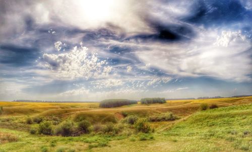 View of grassy landscape against cloudy sky