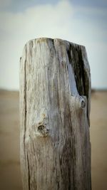 Close-up of wooden post