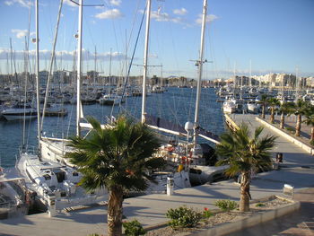 Boats moored at harbor