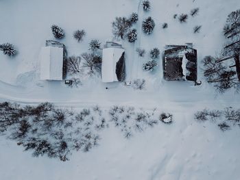 Trees on snow covered field