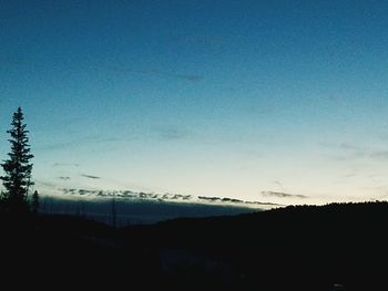 Silhouette trees against sky during sunset