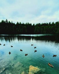 Scenic view of lake against sky