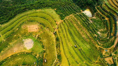 Scenic view of agricultural field