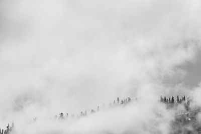 Panoramic view of people in foggy weather