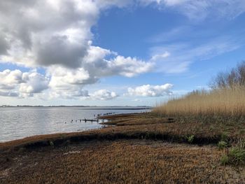 Scenic view of sea against sky