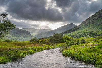 River running trough black valley with green fields and macgillycuddys reeks mountains, ireland