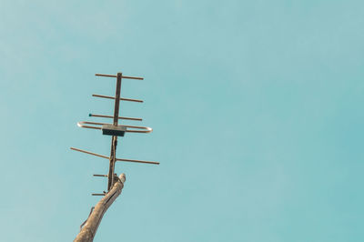 Low angle view of tree against blue sky