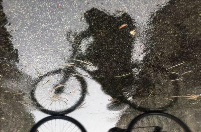 High angle view of person riding bicycle on road