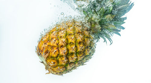 Close-up of lemon slice over sea against white background