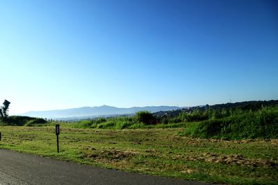 Scenic view of field against clear blue sky