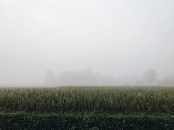 Scenic view of field against sky during foggy weather