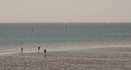 High angle view of people at beach against clear sky during sunset