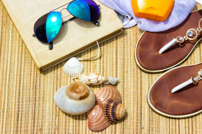 High angle view of shells on table