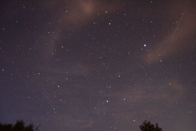 Low angle view of star field against sky at night