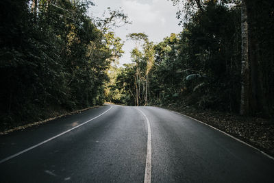 Empty road amidst trees