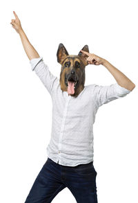 Portrait of dog standing against white background