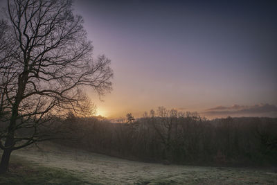 Bare trees by lake against sky during sunset