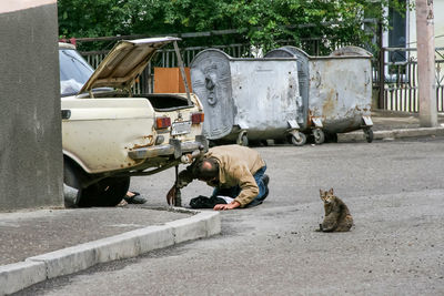 Cat sitting by mechanic repairing car on road