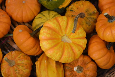 Full frame shot of pumpkins at market stall