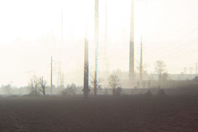 Trees on field against sky