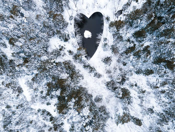 Heart-shaped pond in winter in halifax, nova scotia