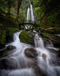 Scenic view of waterfall in forest