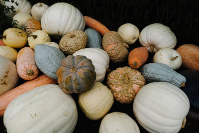 High angle view of pumpkins for sale in market