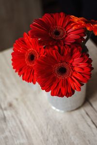 Close-up of red gerbera daisy on table