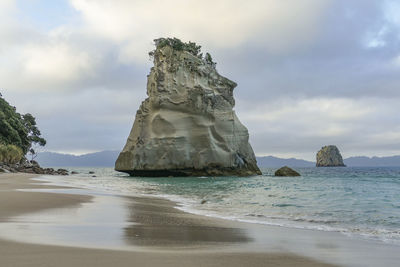 Te hoho rock at a coastal area named cathedral cove