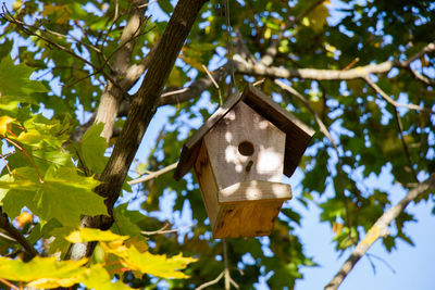 Low angle view of birdhouse hanging on tree