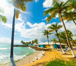 Palm trees by swimming pool against sky