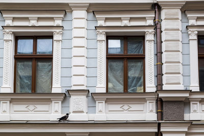 Low angle view of crow perching on building