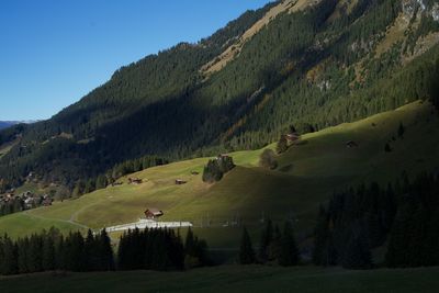 Scenic view of trees on field against sky