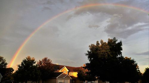 Low angle view of rainbow over trees