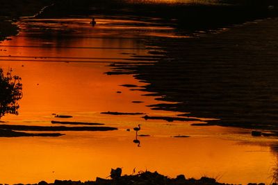 Silhouette birds on lake against sky during sunset