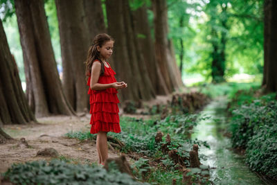 Woman standing by tree trunk in forest