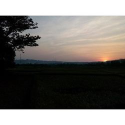 Scenic view of field against sky during sunset