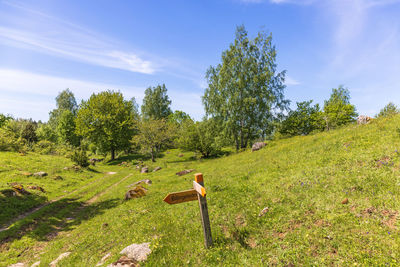 Rear view of woman walking on field against sky