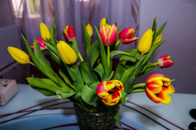 Close-up of tulips in vase
