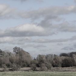 Scenic view of grassy field against cloudy sky