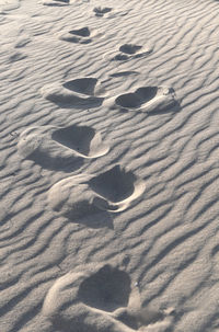 High angle view of sand dune