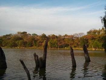 Wooden posts in lake against sky