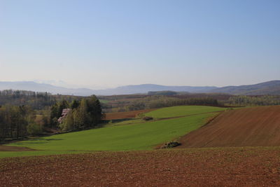 Scenic view of agricultural field against clear sky