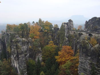 Scenic view of trees during autumn