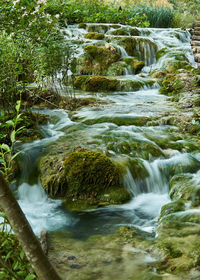 Stream flowing through rocks in forest