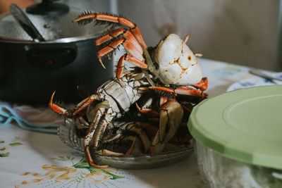 Close-up of crab in plate on table