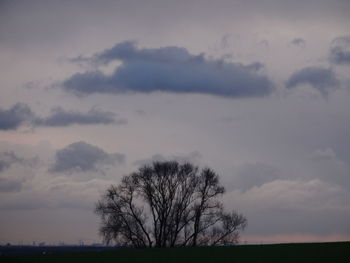 Bare trees on field against cloudy sky