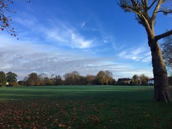 Scenic view of field against cloudy sky